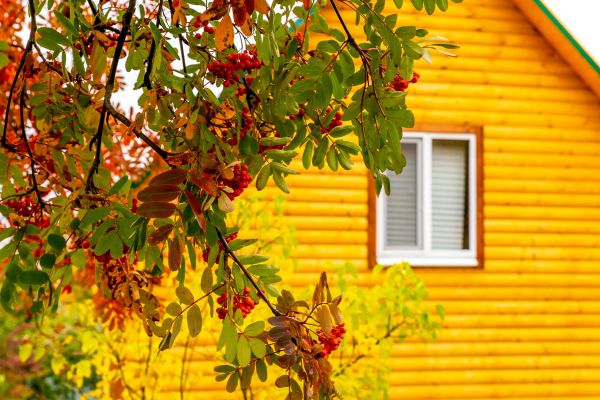 Cost of Garden Window Replacement in Palmetto